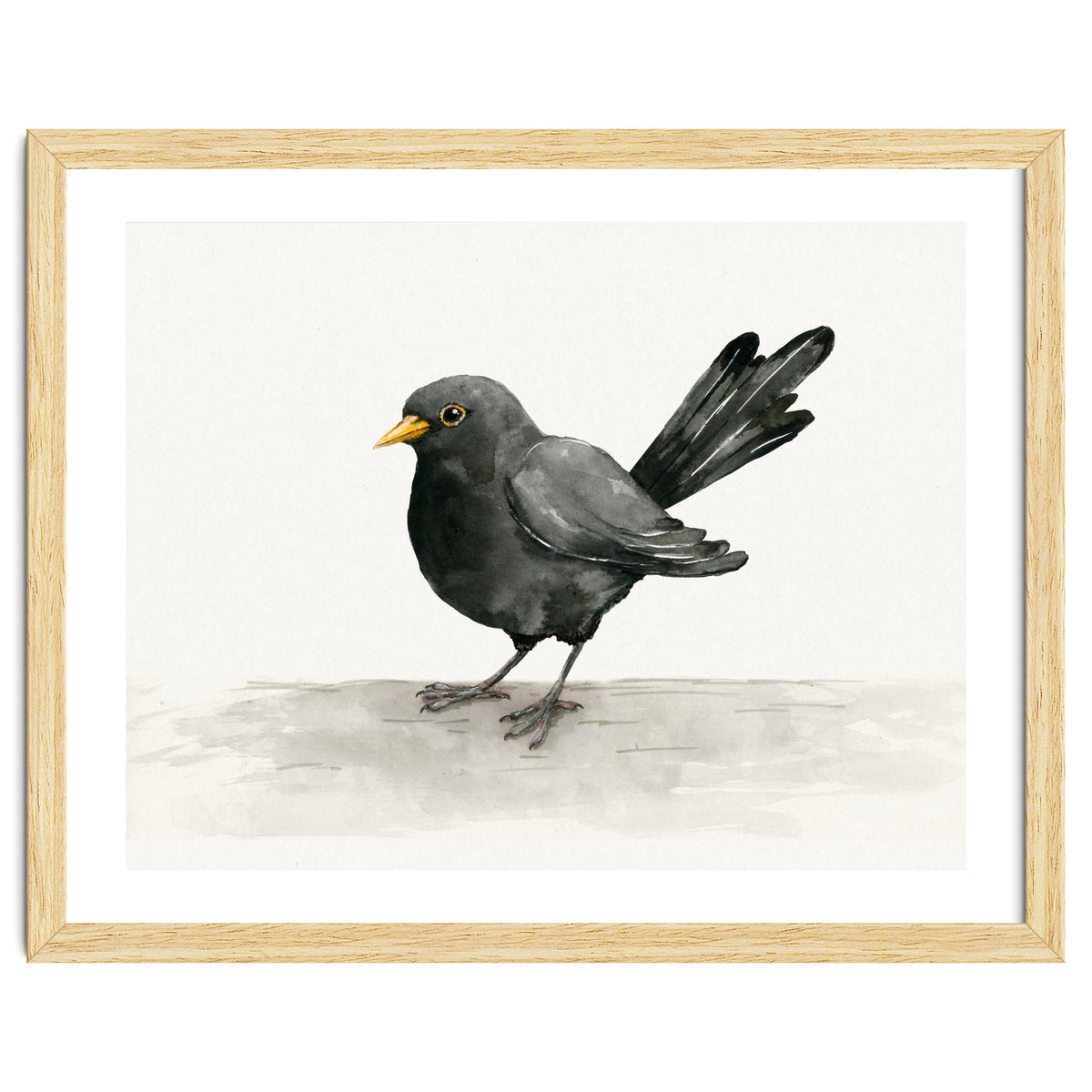 Blackbird ink drawing