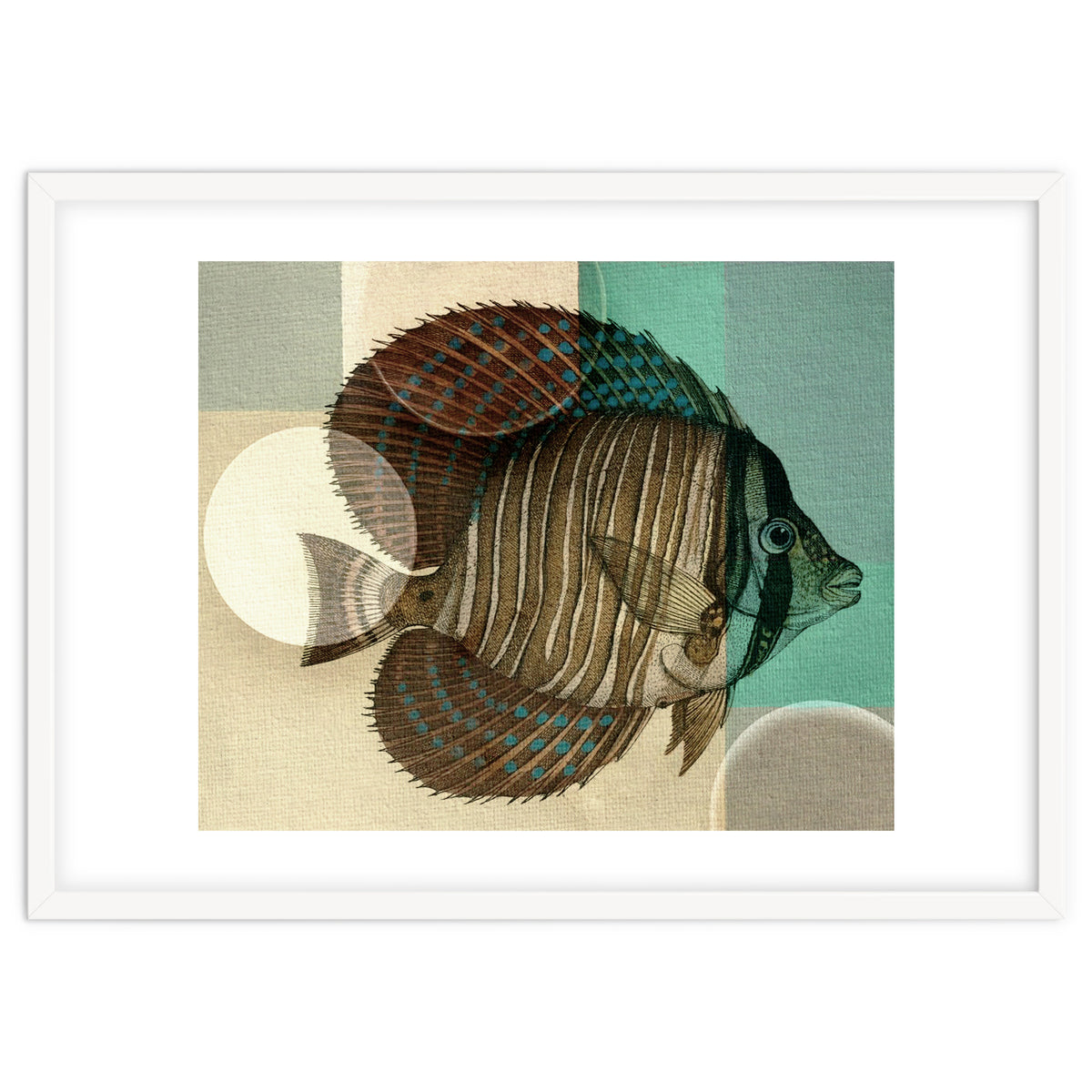 Fish Between Circles 4