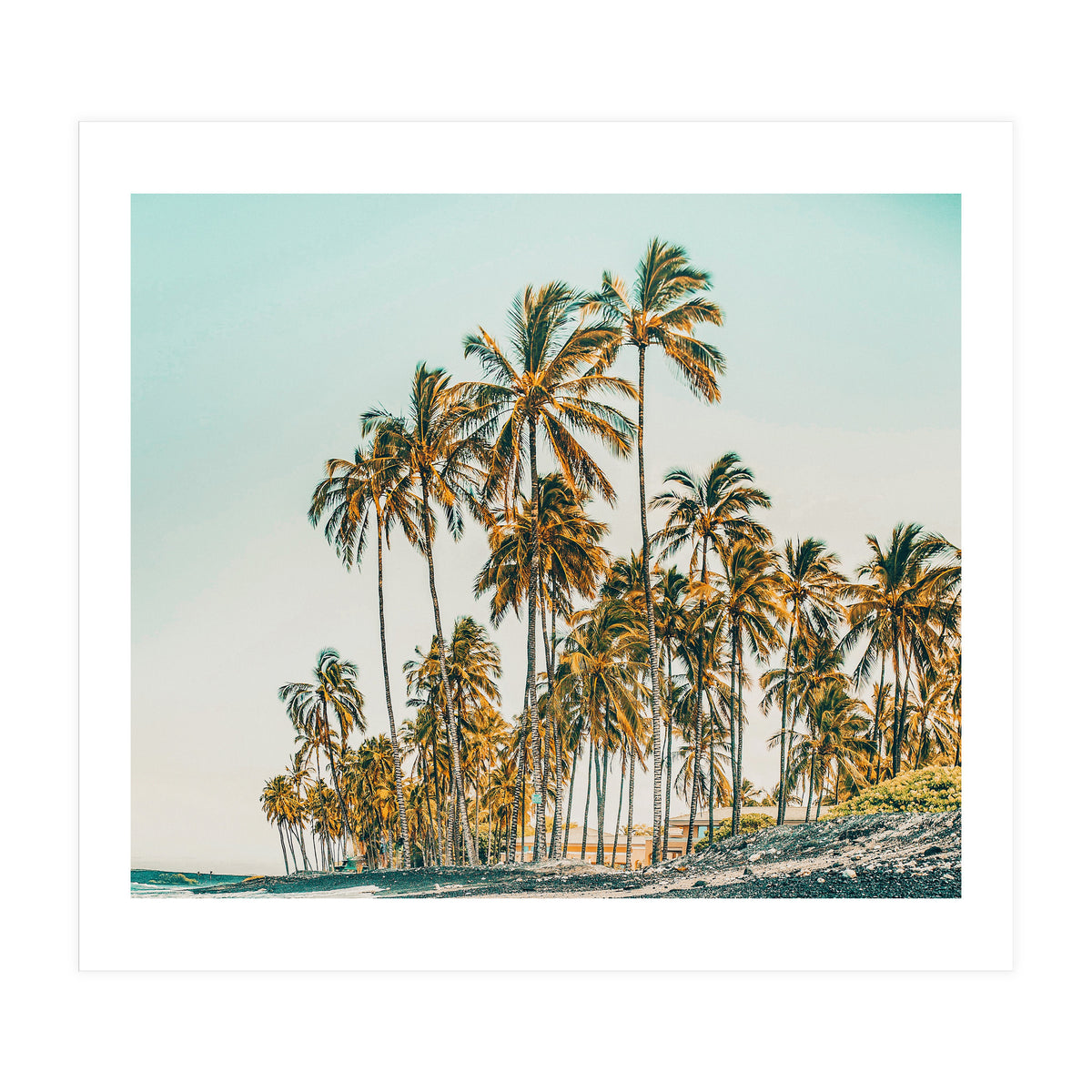 Island Life III (Print Only)