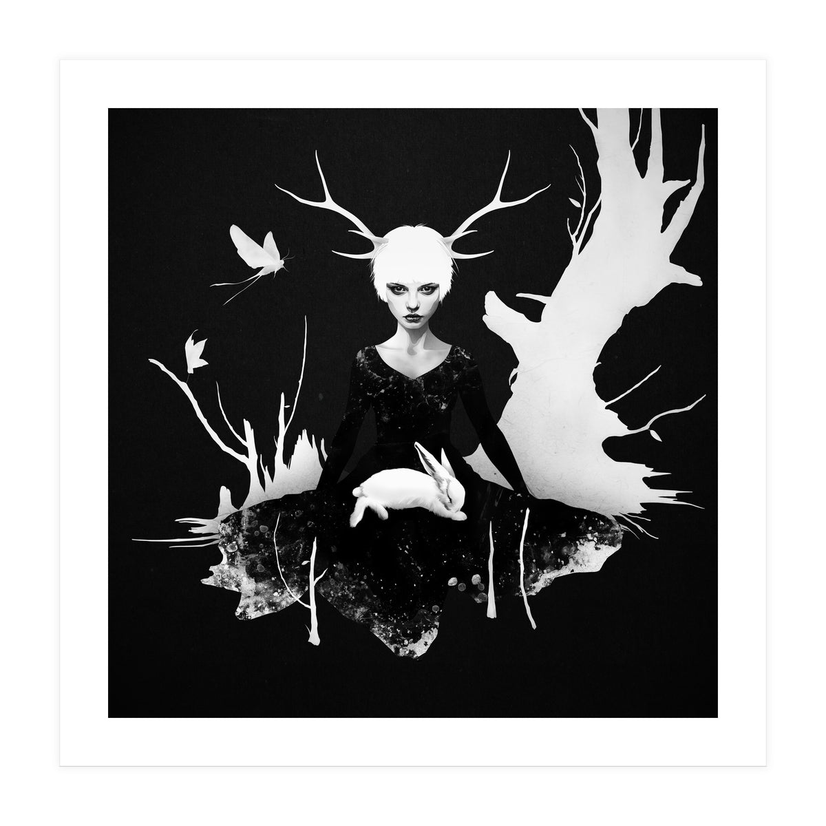 Space Within (Print Only)