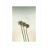 Vintage palm trees at sunset (Print Only) thumbnail