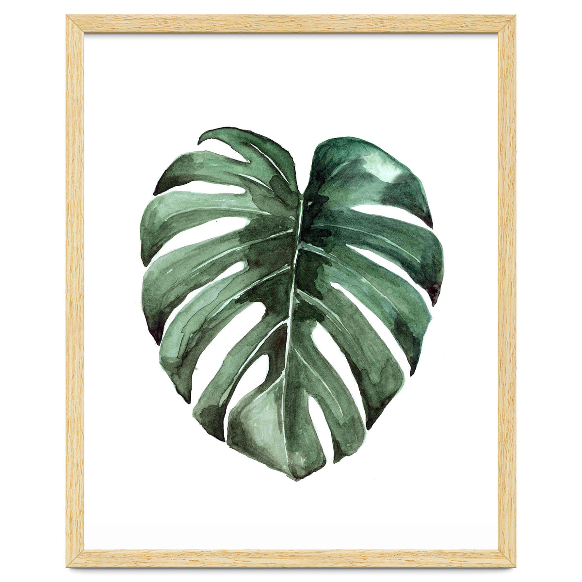 Botanical Illustration Monstera Deliciosa