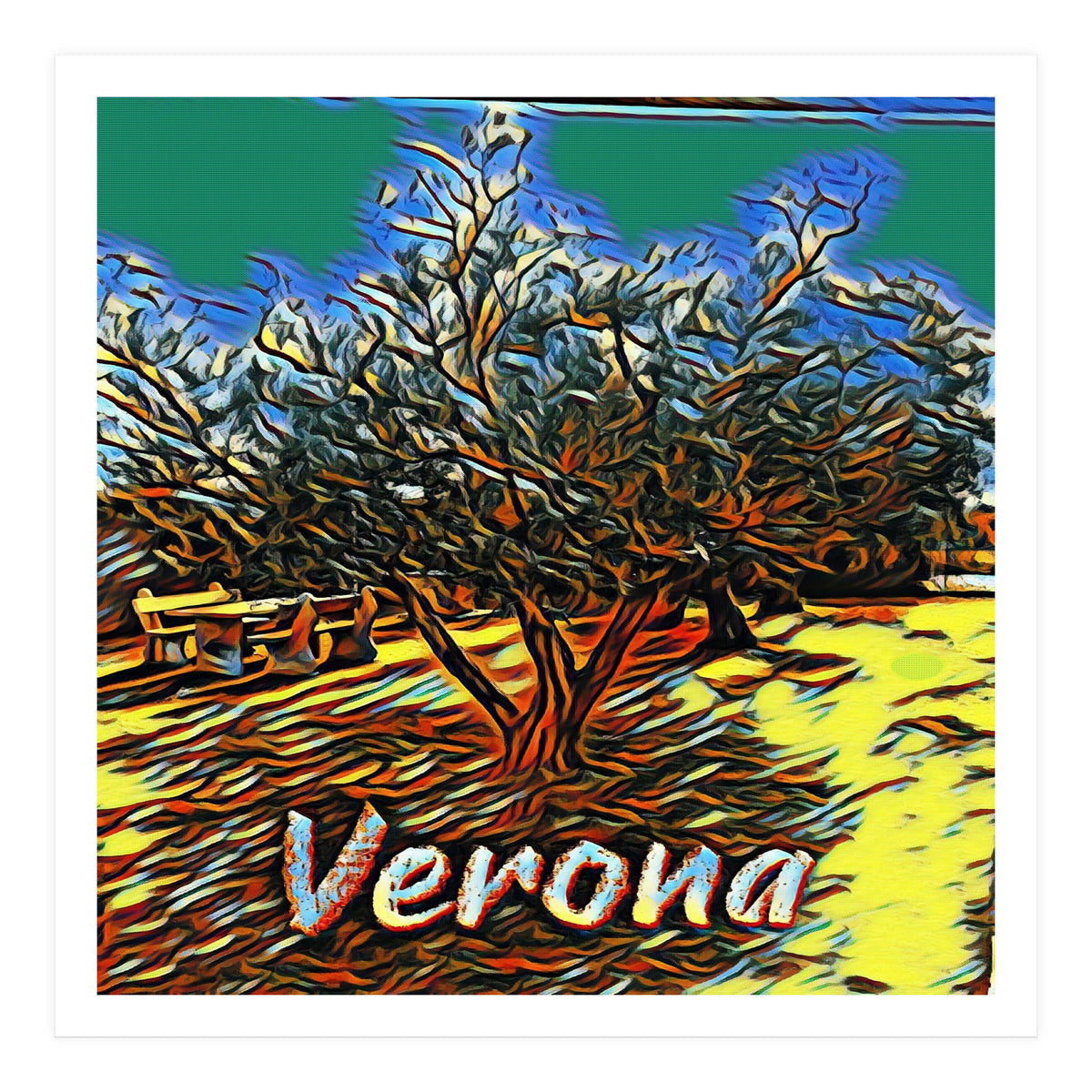 Colorful Olive tree in Verona, Italy. (Print Only)