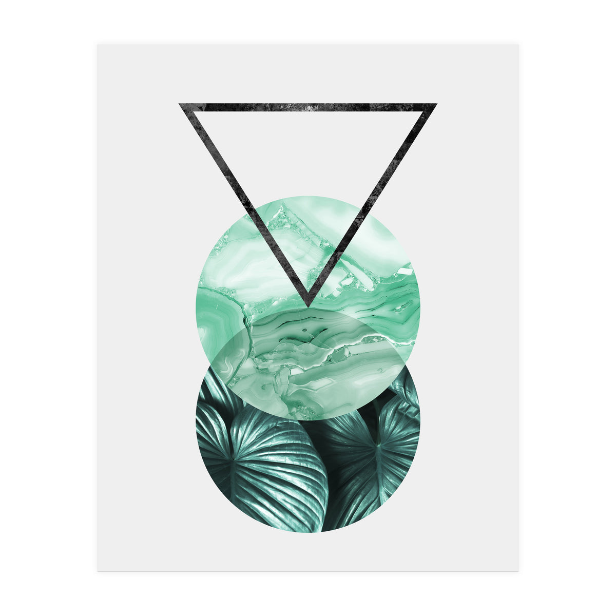 Botanical and geometric II (Print Only)