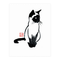 Siamese (Print Only)