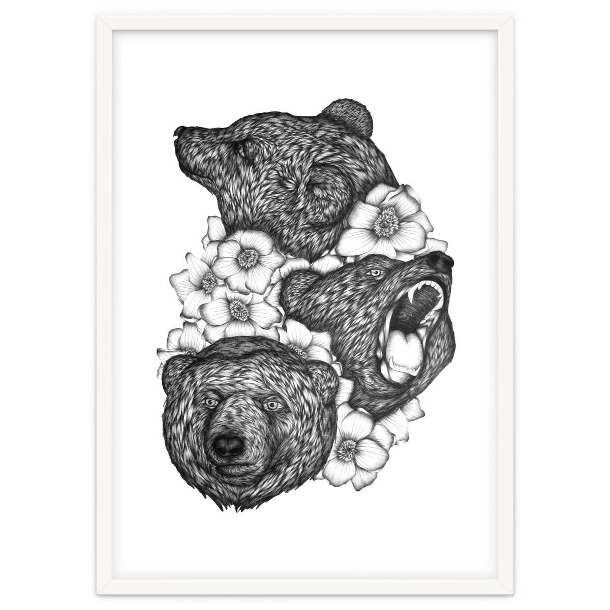 Bears In Bears