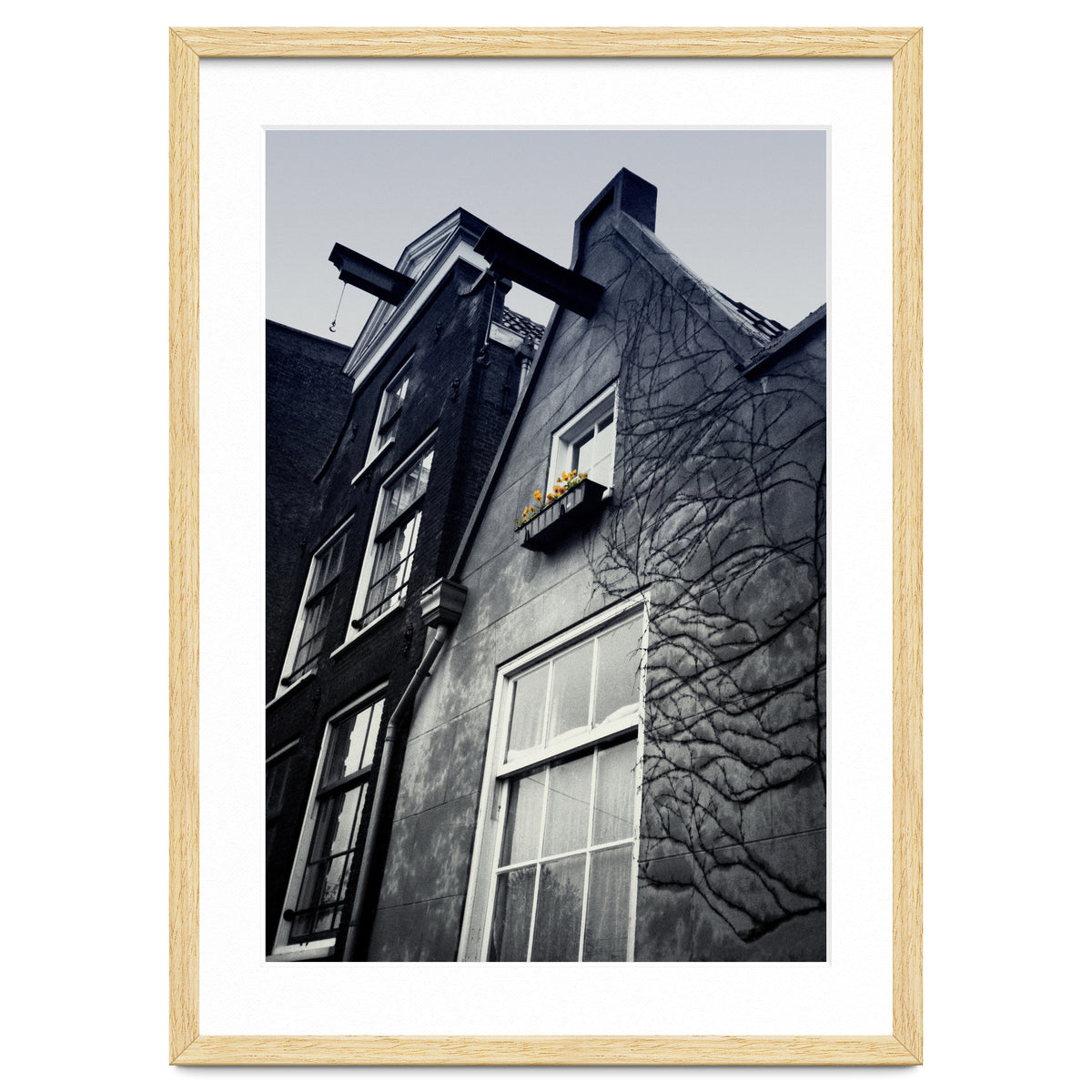 Amsterdam. House With Yellow Flowers.
