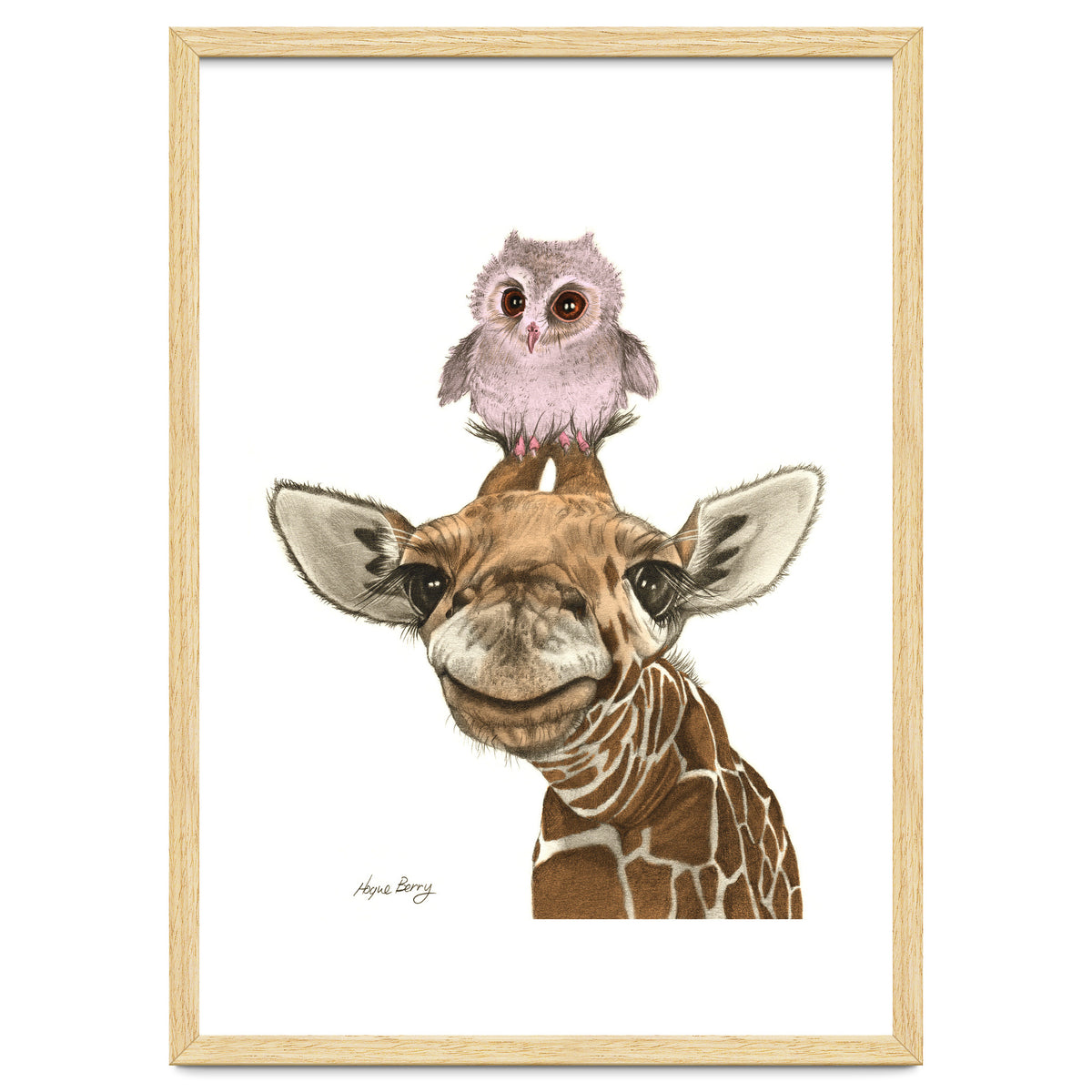 Giraffe and Owl