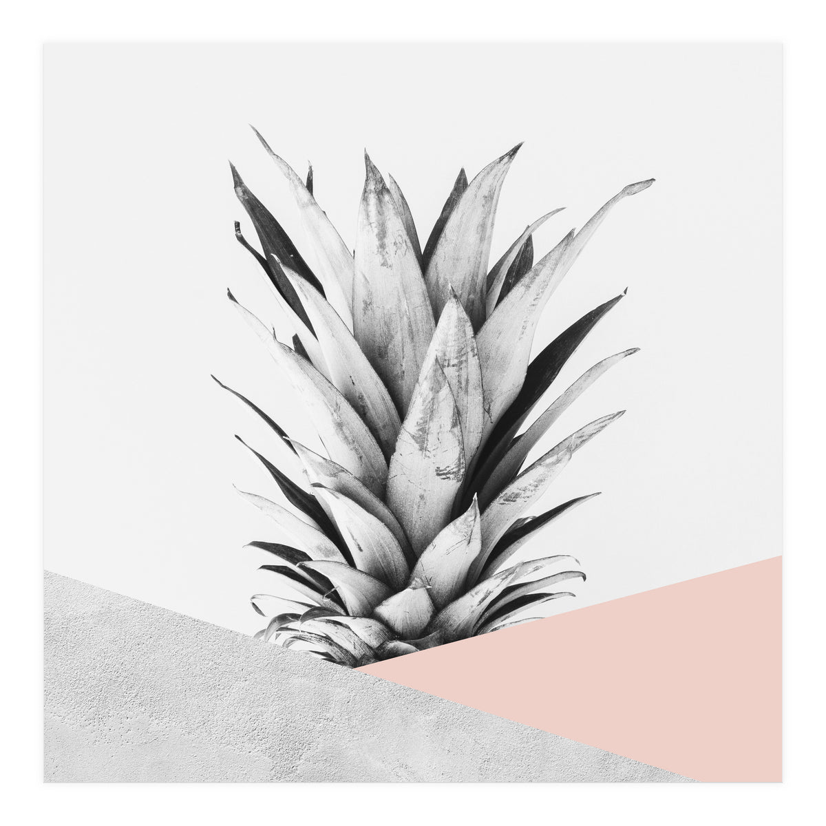 Scandinavian pineapple II (Print Only)