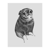 Sweet Black Pug (Print Only) thumbnail