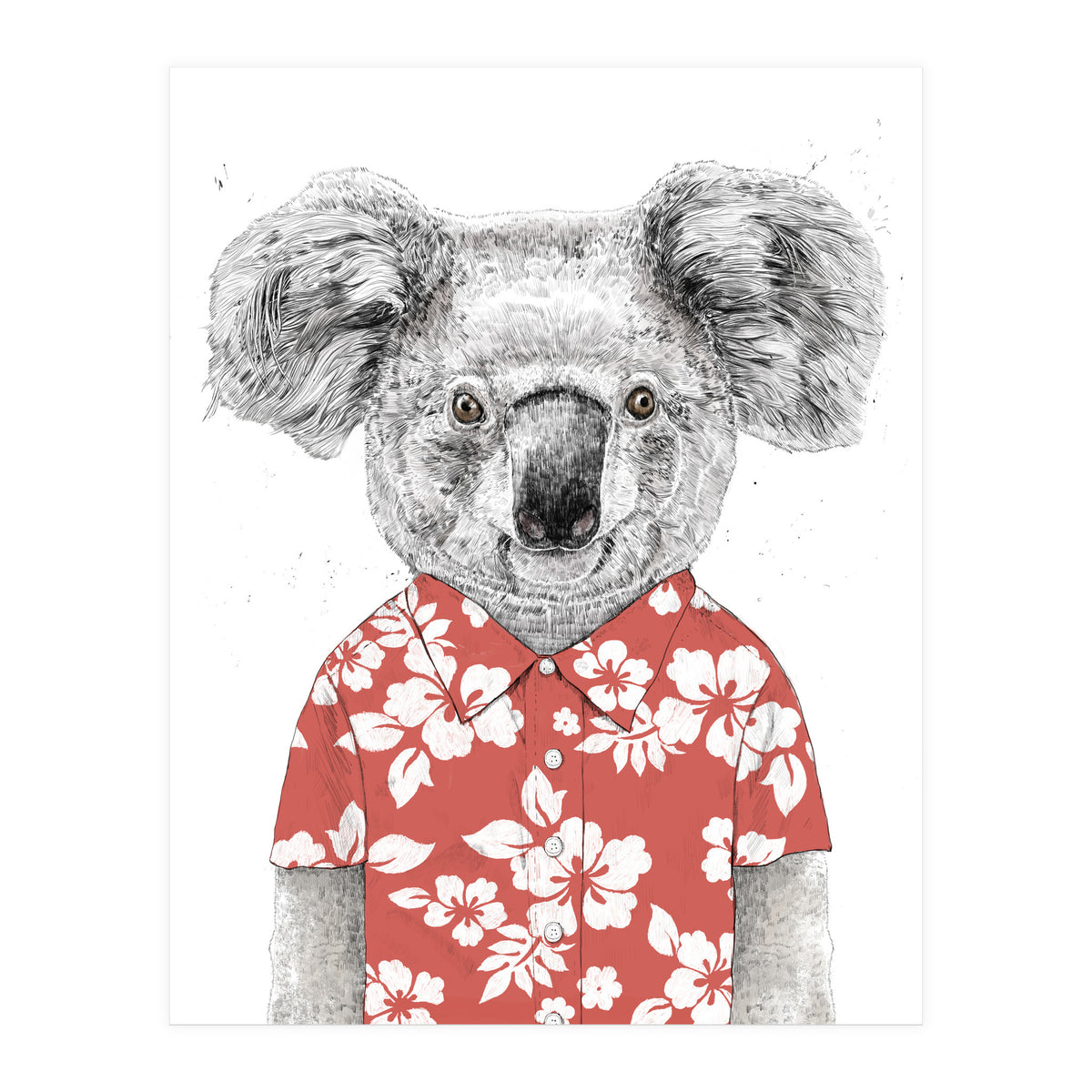 Summer Koala  (Print Only)