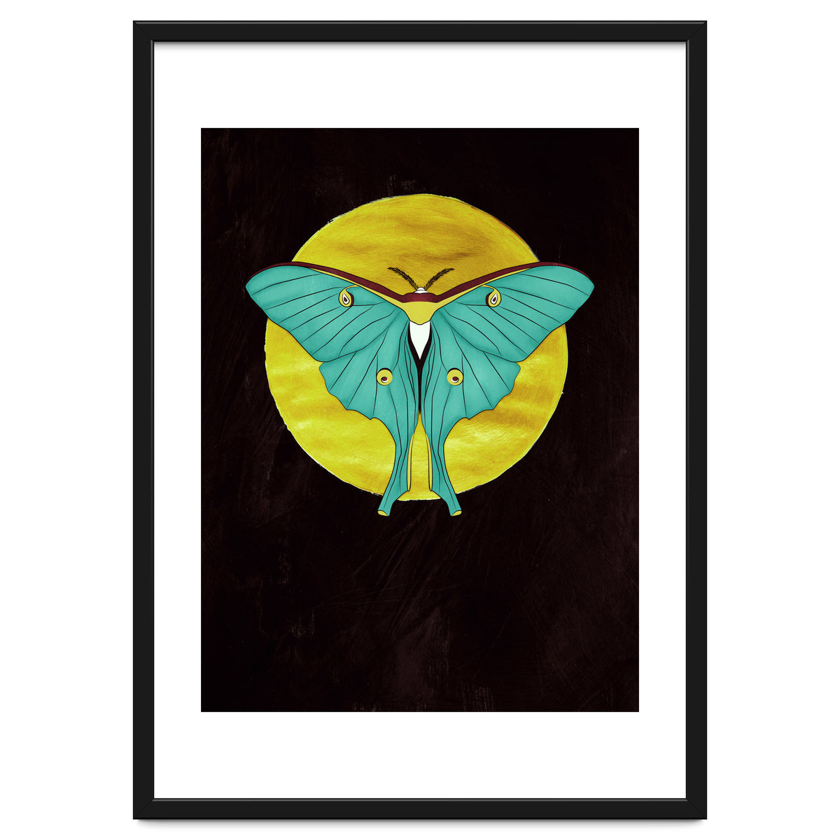 Luna Moth Moon