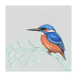 The kingfisher (Print Only) thumbnail
