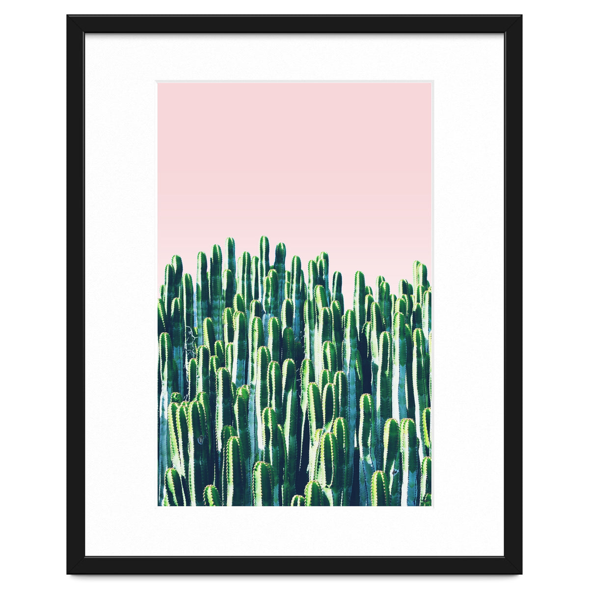 Cactus & Sunset II