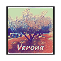 Olive Tree In Verona (Print Only)