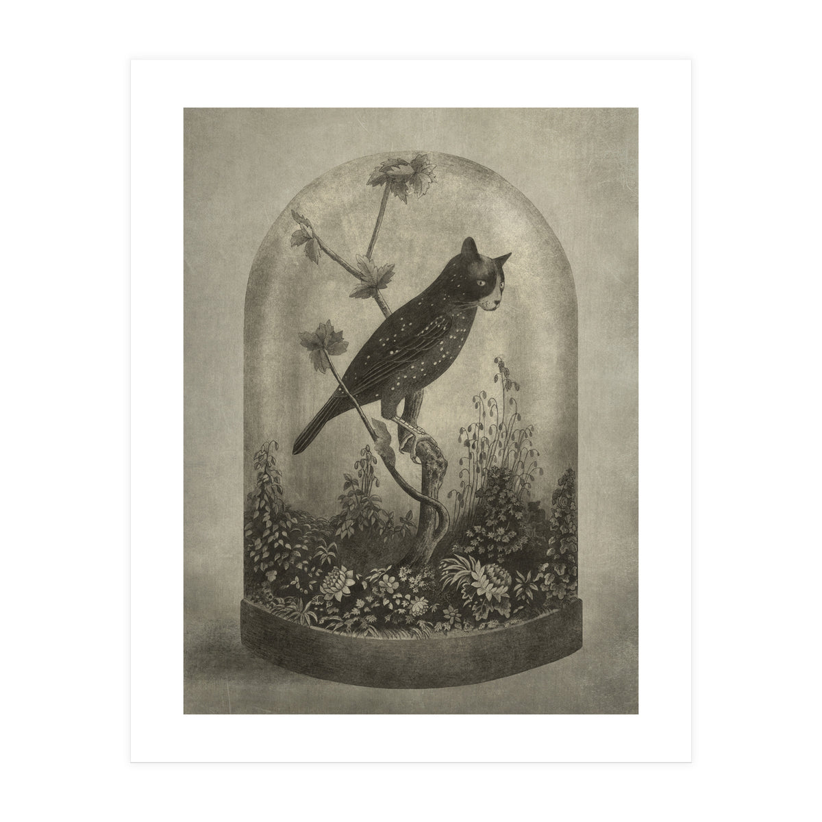 The Curiosity (Print Only)