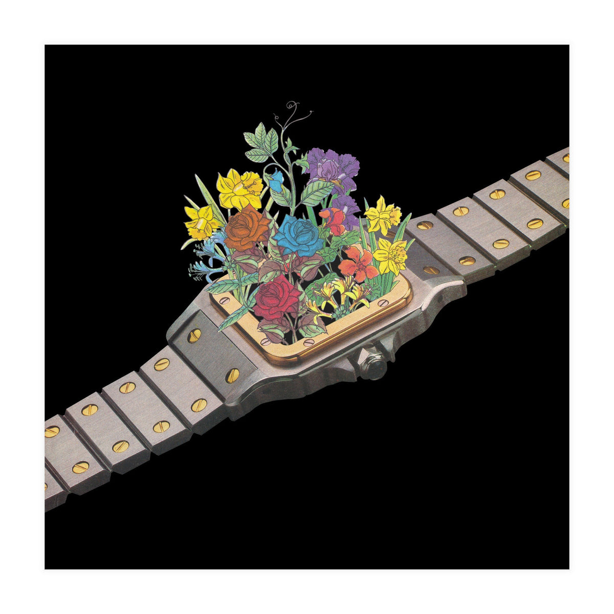 Natural Watch (Print Only)