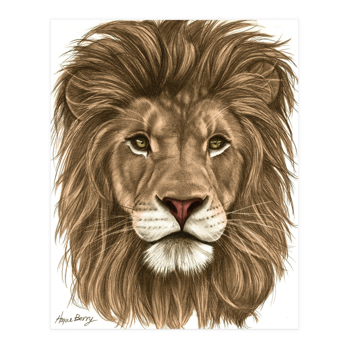 The Majestic Lion (Print Only)