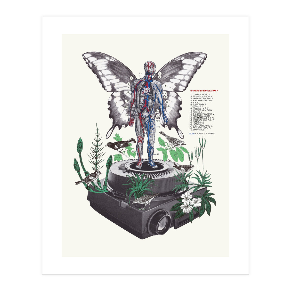 Hologram (Print Only)