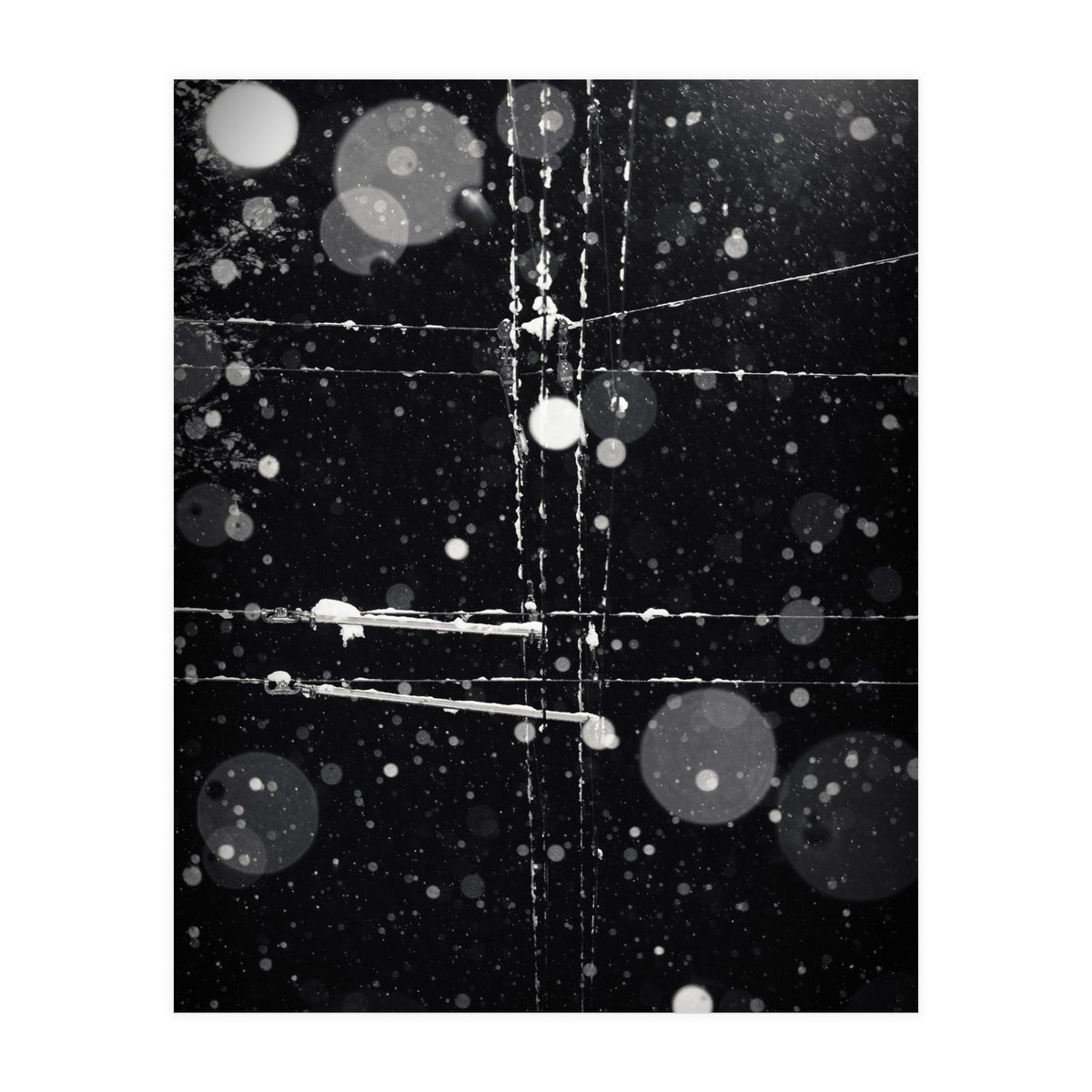 chaos theory (Print Only)