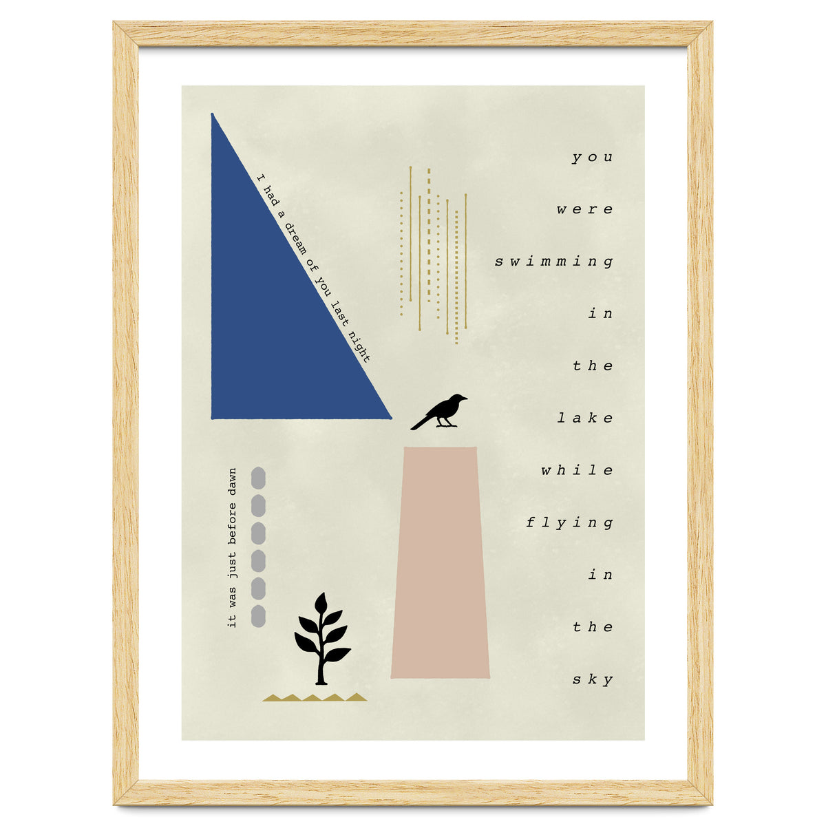 swimming while flying dream