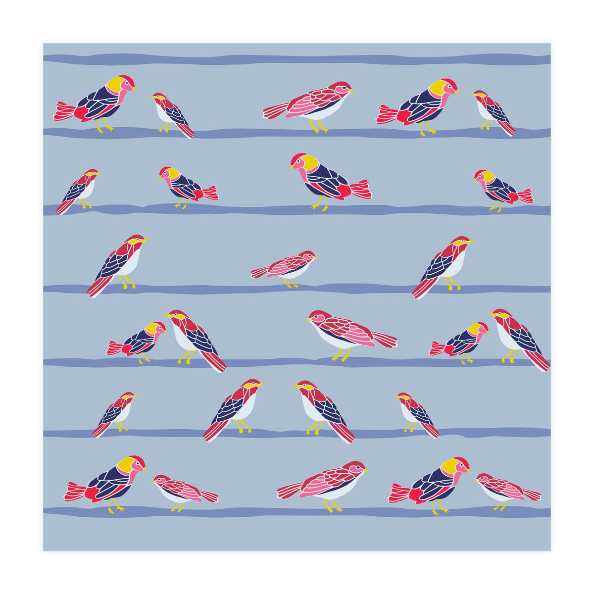 Colorful birds on a wire pattern (Print Only)