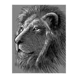 Sketch Lion (Print Only) thumbnail