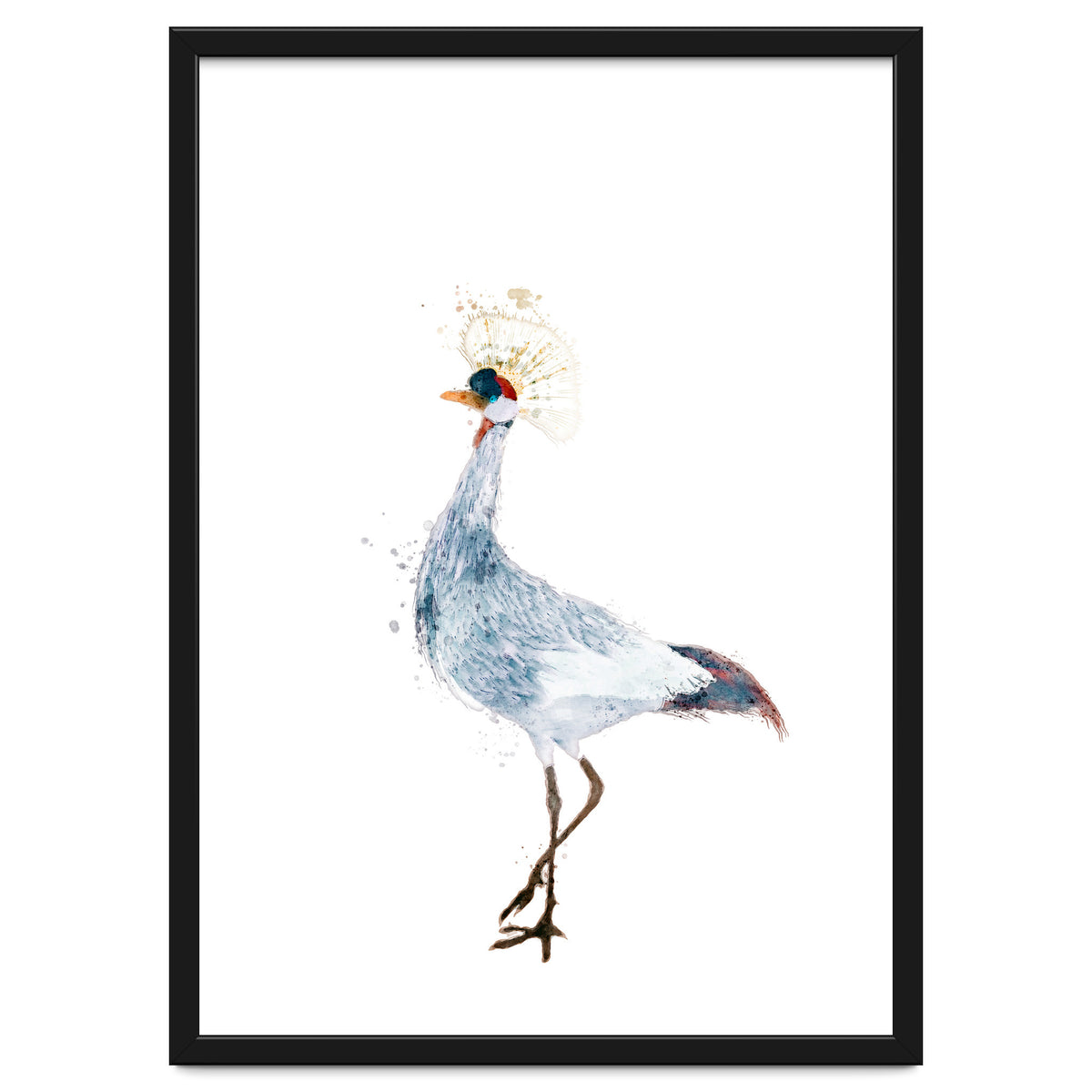 Watercolor Grey Crowned Crane