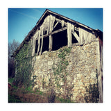 14 Fb156 B 6832 4 Ef7 9846 7817 Eea32976 (Print Only) thumbnail