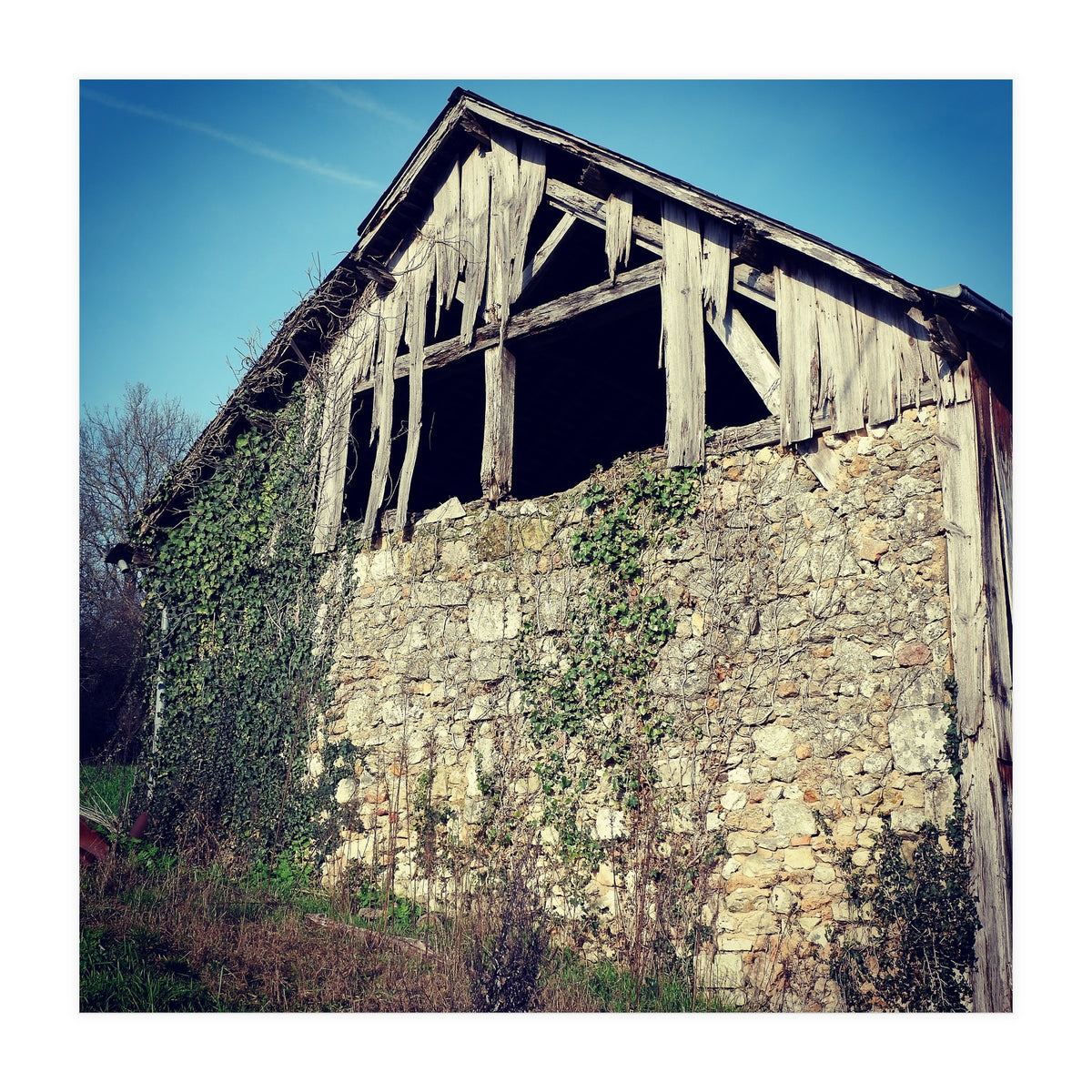 14 Fb156 B 6832 4 Ef7 9846 7817 Eea32976 (Print Only)