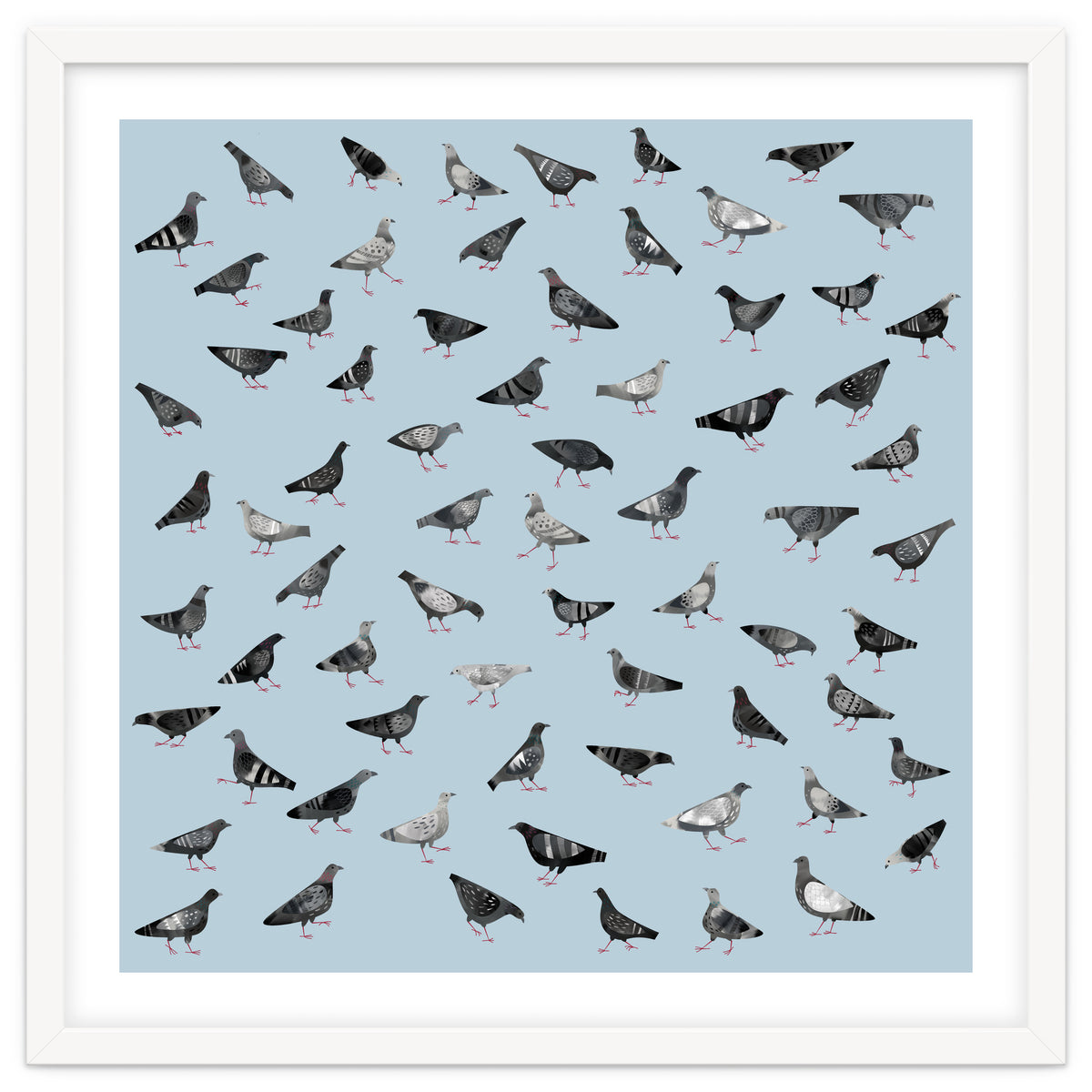 Pigeons Doing Pigeon Things