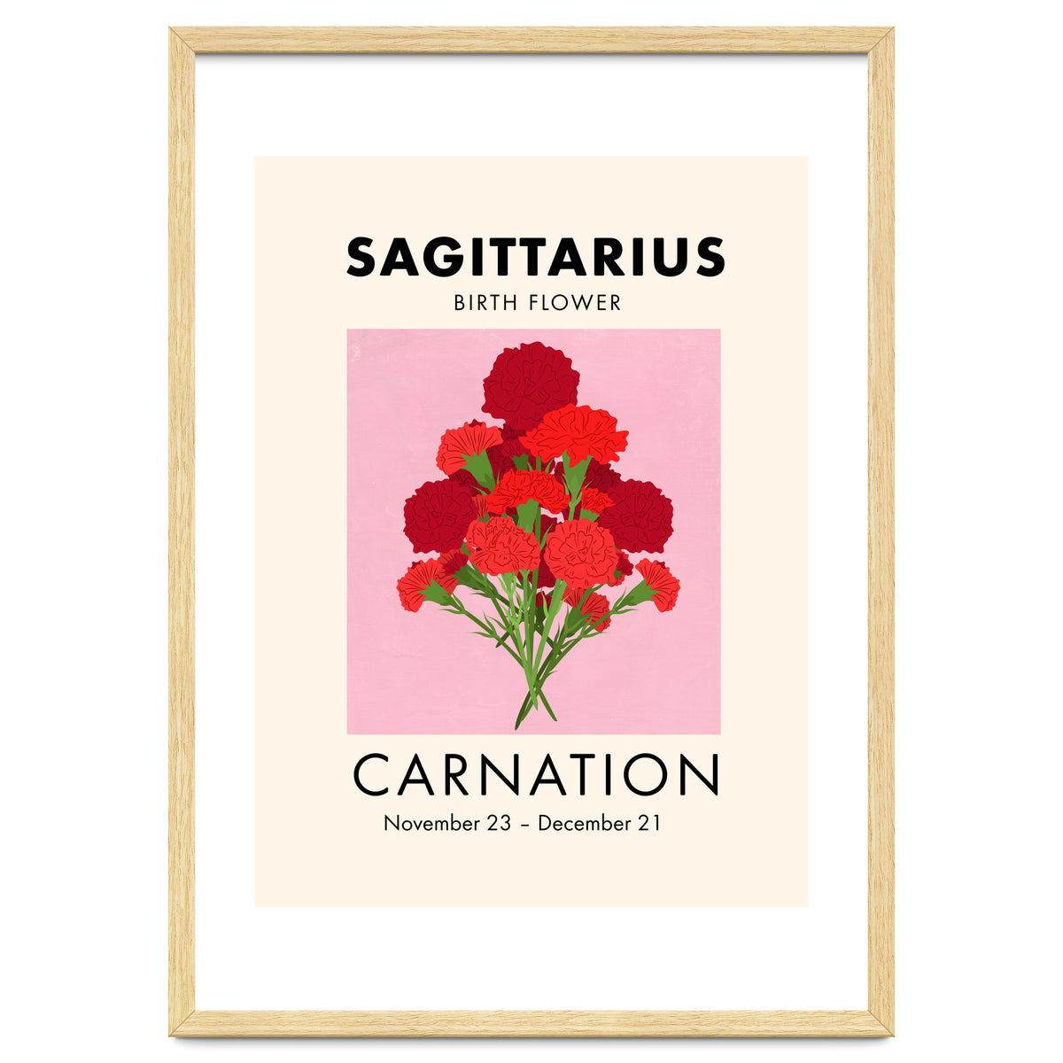 Sagittarius Birth Flower Carnation