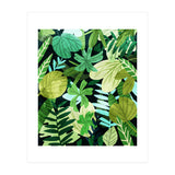 Rainforest Ii (Print Only) thumbnail