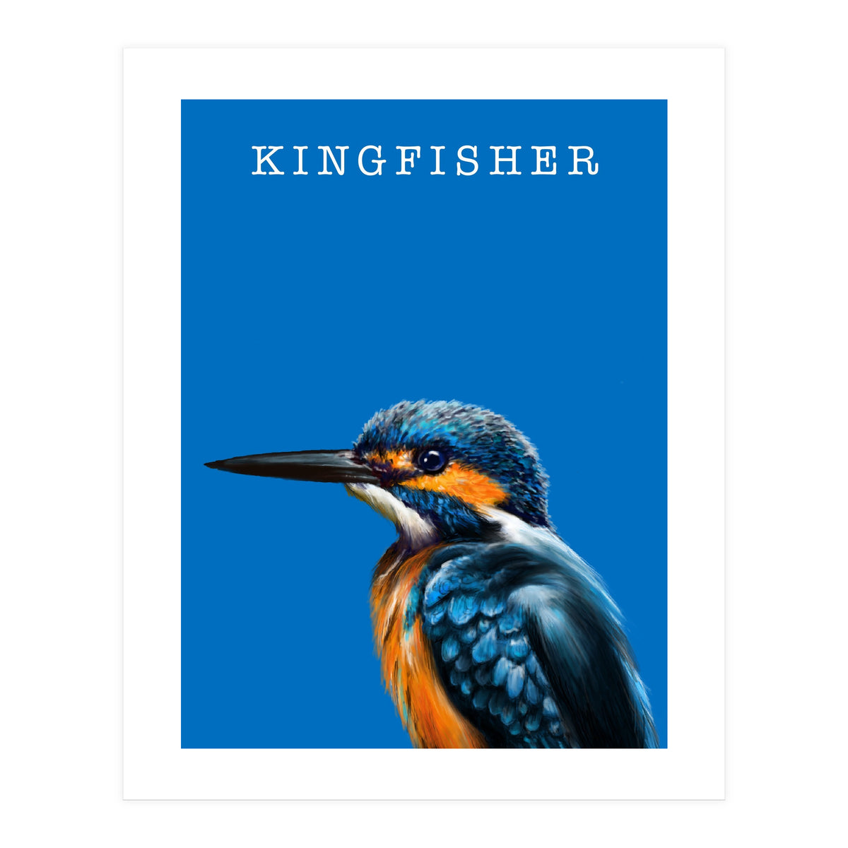 Kingfisher (Print Only)