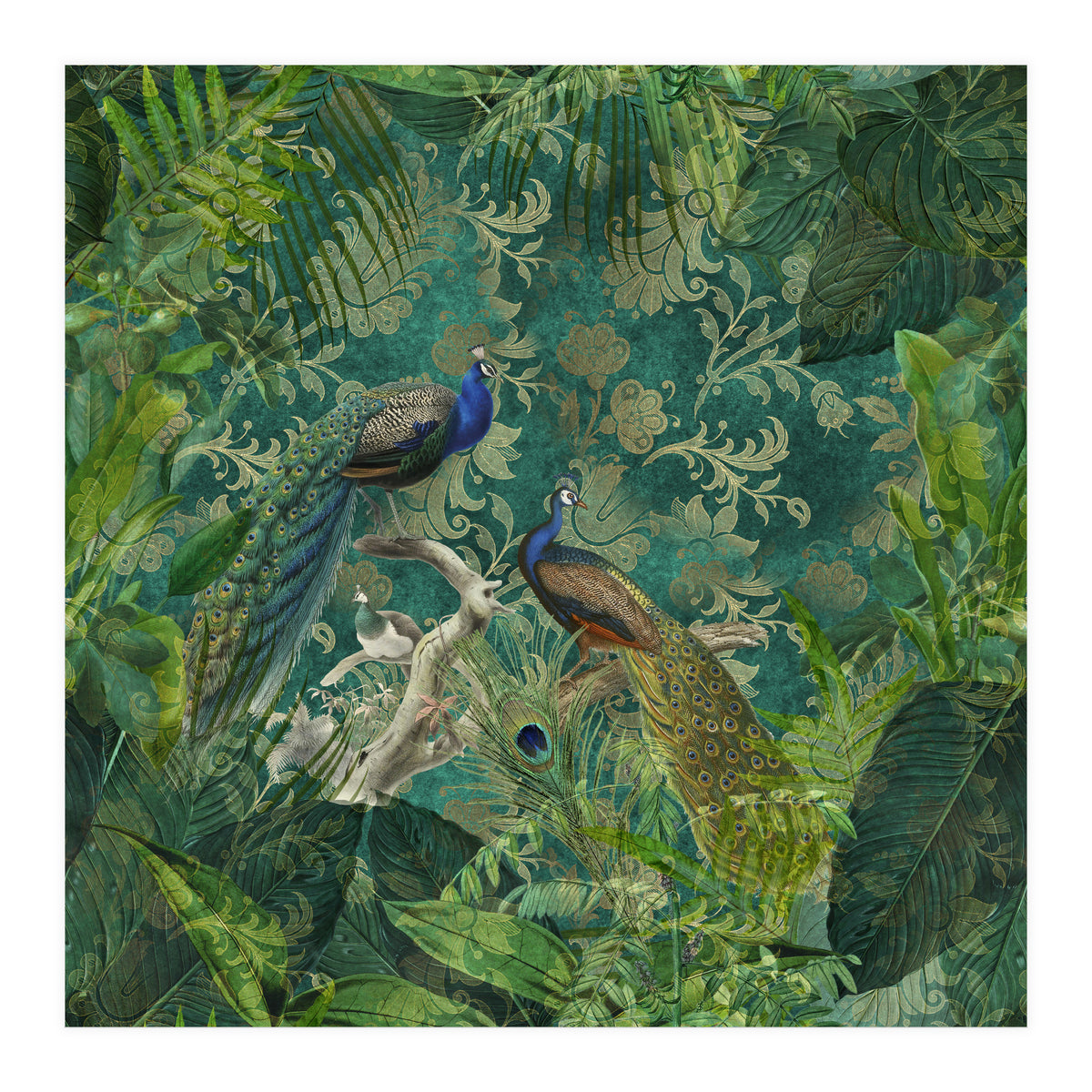 Mystic Peacocks (Print Only)