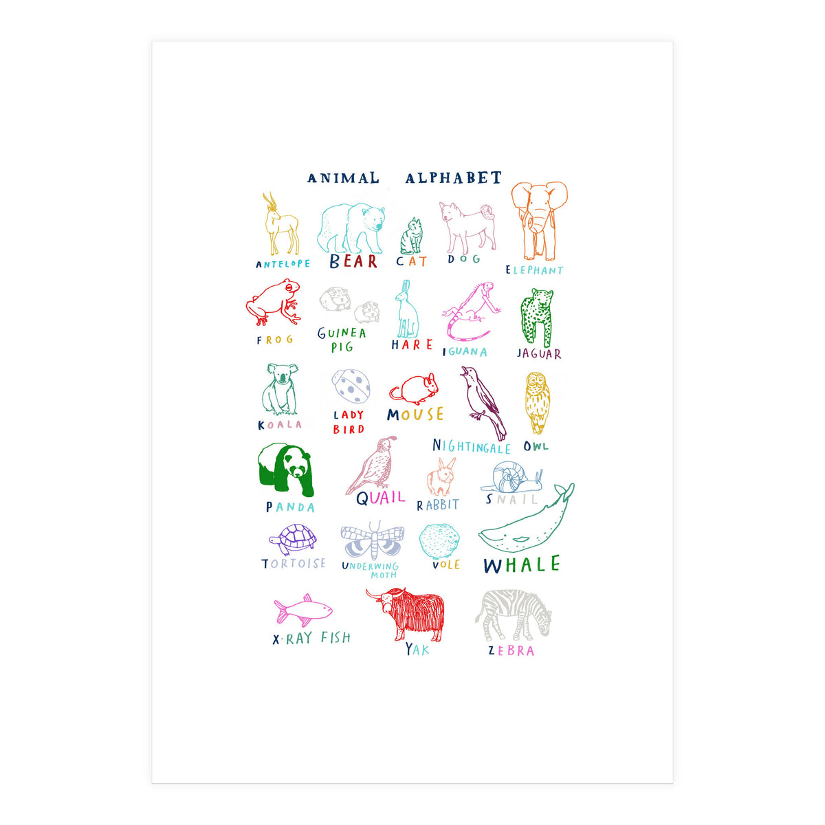 ABC Animals (Print Only)
