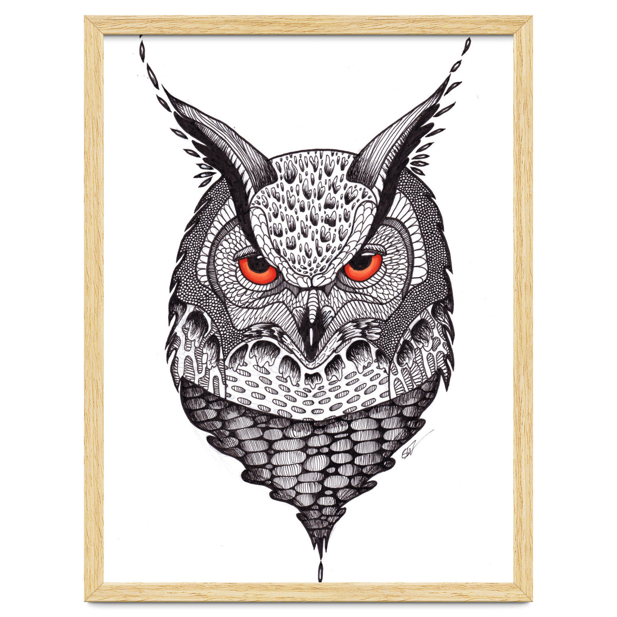Owl