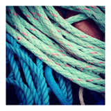 fishing ropes: blue and green (Print Only) thumbnail