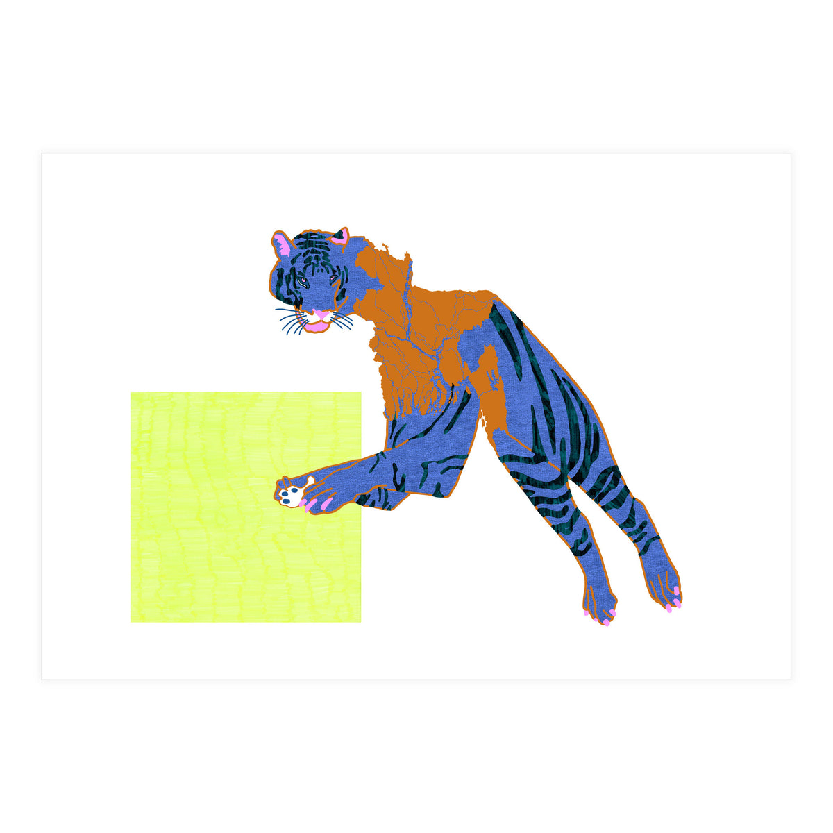 Bangladeshi Bengal Tiger  (Print Only)