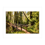 Ewoldsen Trail Bridge  (Print Only) thumbnail