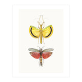 Cc Insects 08 (Print Only) thumbnail