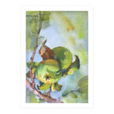 Apples on a branch (Print Only) thumbnail