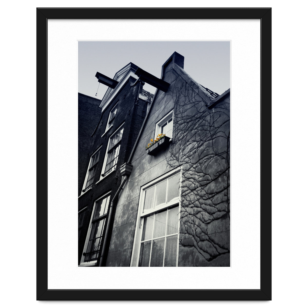 Amsterdam. House With Yellow Flowers.