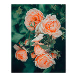 Seasons Blossom (Print Only) thumbnail