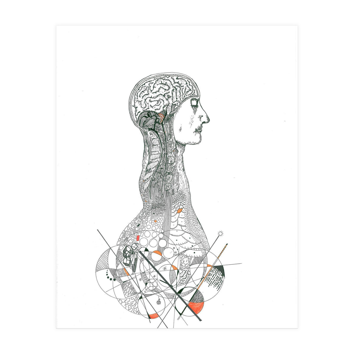 Anatomy (Print Only)