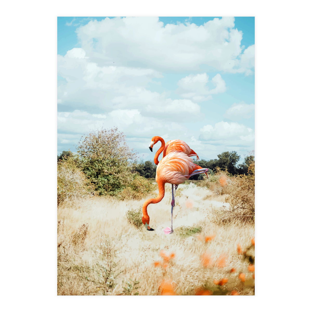 Flamingo Couple (Print Only)