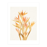 Tropical Bird of Paradise Bouquet (Print Only) thumbnail