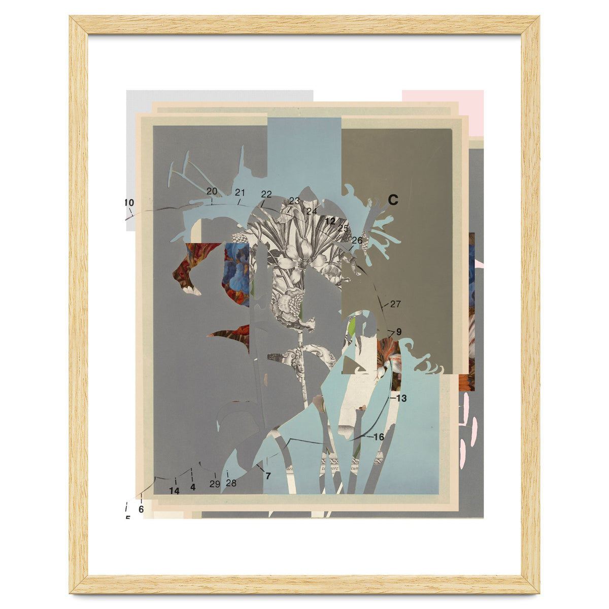 The First Plant · D