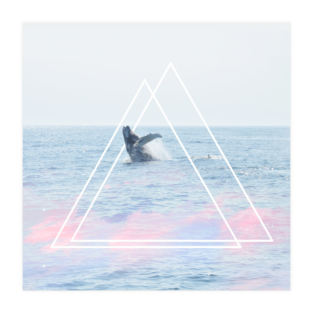 Whale of a Time (Print Only)