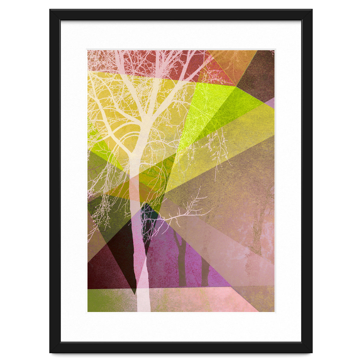 P22 Trees And Triangles